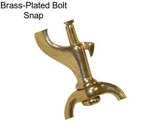 Brass-Plated Bolt Snap