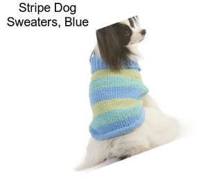 Stripe Dog Sweaters, Blue