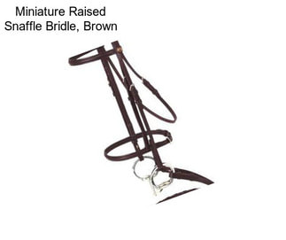 Miniature Raised Snaffle Bridle, Brown