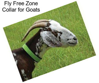 Fly Free Zone Collar for Goats