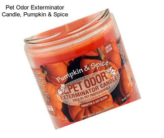 Pet Odor Exterminator Candle, Pumpkin & Spice