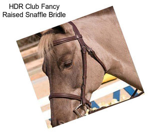 HDR Club Fancy Raised Snaffle Bridle