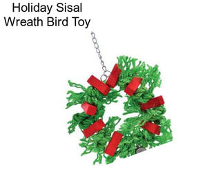 Holiday Sisal Wreath Bird Toy