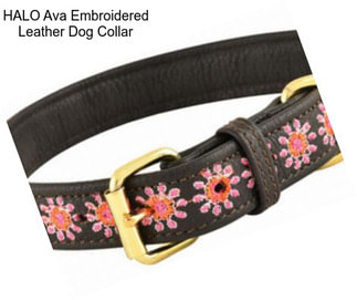 HALO Ava Embroidered Leather Dog Collar