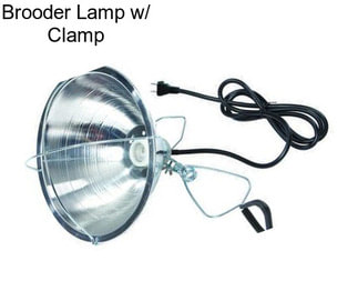Brooder Lamp w/ Clamp