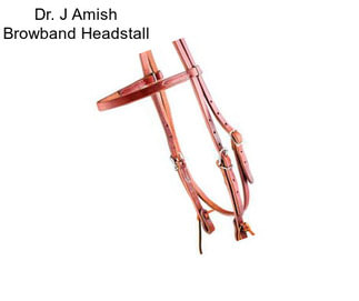 Dr. J Amish Browband Headstall