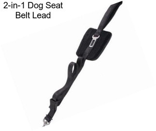 2-in-1 Dog Seat Belt Lead