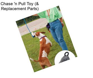 Chase \'n Pull Toy (& Replacement Parts)