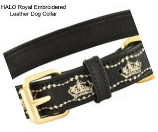HALO Royal Embroidered Leather Dog Collar