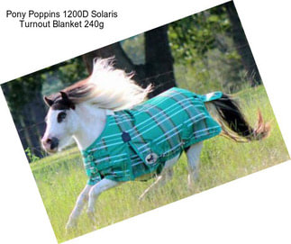 Pony Poppins 1200D Solaris Turnout Blanket 240g