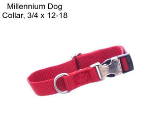 Millennium Dog Collar, 3/4\