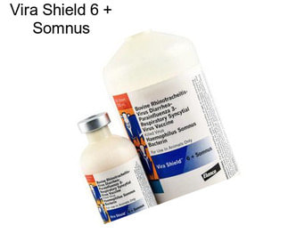 Vira Shield 6 + Somnus