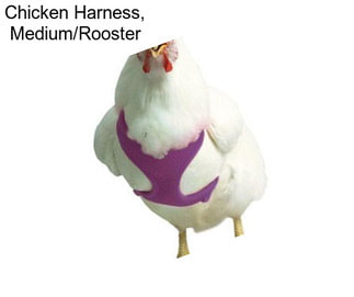 Chicken Harness, Medium/Rooster