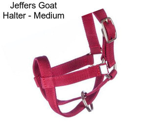 Jeffers Goat Halter - Medium