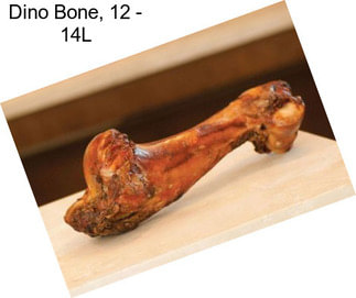 Dino Bone, 12\
