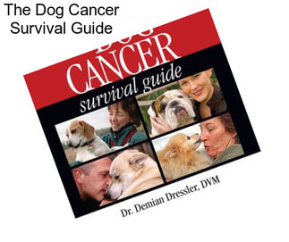 The Dog Cancer Survival Guide