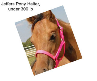 Jeffers Pony Halter, under 300 lb