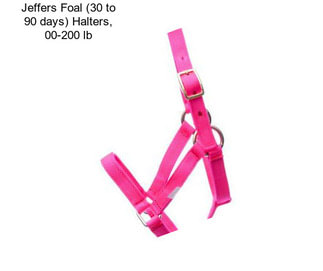 Jeffers Foal (30 to 90 days) Halters, 00-200 lb