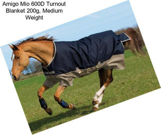 Amigo Mio 600D Turnout Blanket 200g, Medium Weight