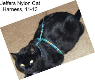 Jeffers Nylon Cat Harness, 11\