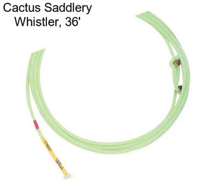 Cactus Saddlery Whistler, 36\'