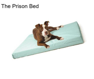 The Prison Bed