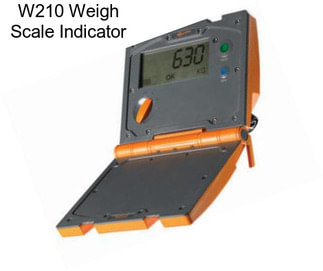 W210 Weigh Scale Indicator