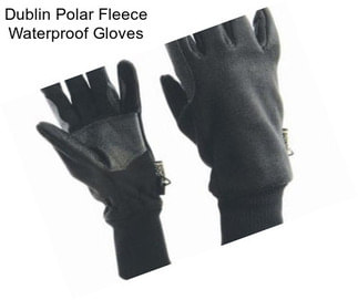 Dublin Polar Fleece Waterproof Gloves