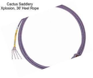 Cactus Saddlery Xplosion, 36\' Heel Rope