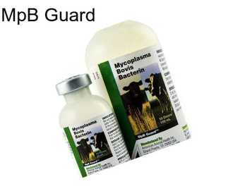 MpB Guard