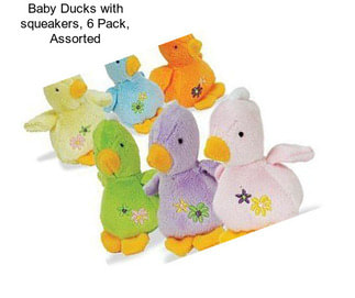 Baby Ducks with squeakers, 6 Pack, Assorted