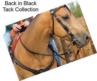Back in Black Tack Collection