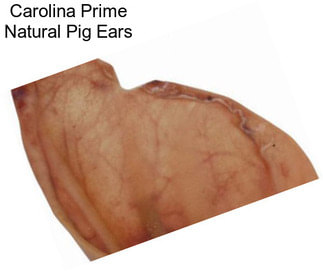 Carolina Prime Natural Pig Ears