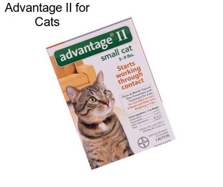 Advantage II for Cats