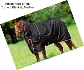 Amigo Hero-6 Plus Turnout Blanket, Medium