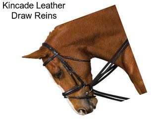 Kincade Leather Draw Reins