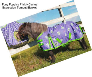 Pony Poppins \