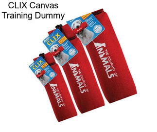 CLIX Canvas Training Dummy