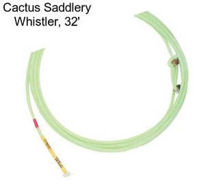 Cactus Saddlery Whistler, 32\'