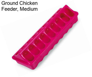 Ground Chicken Feeder, Medium