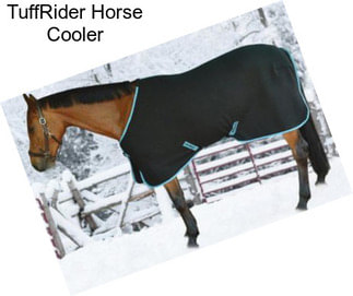 TuffRider Horse Cooler