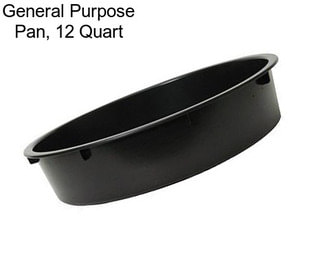 General Purpose Pan, 12 Quart