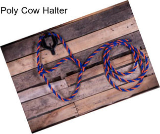 Poly Cow Halter