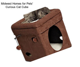 Midwest Homes for Pets\' Curious Cat Cube