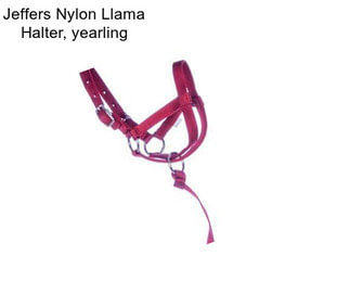 Jeffers Nylon Llama Halter, yearling