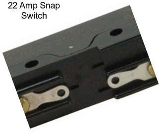 22 Amp Snap Switch