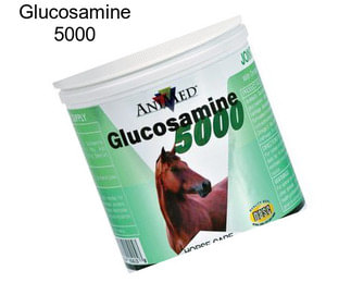 Glucosamine 5000