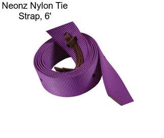 Neonz Nylon Tie Strap, 6\'