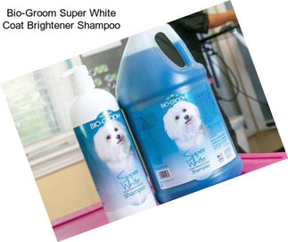 Bio-Groom Super White Coat Brightener Shampoo