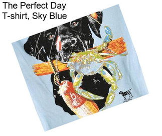 The Perfect Day T-shirt, Sky Blue